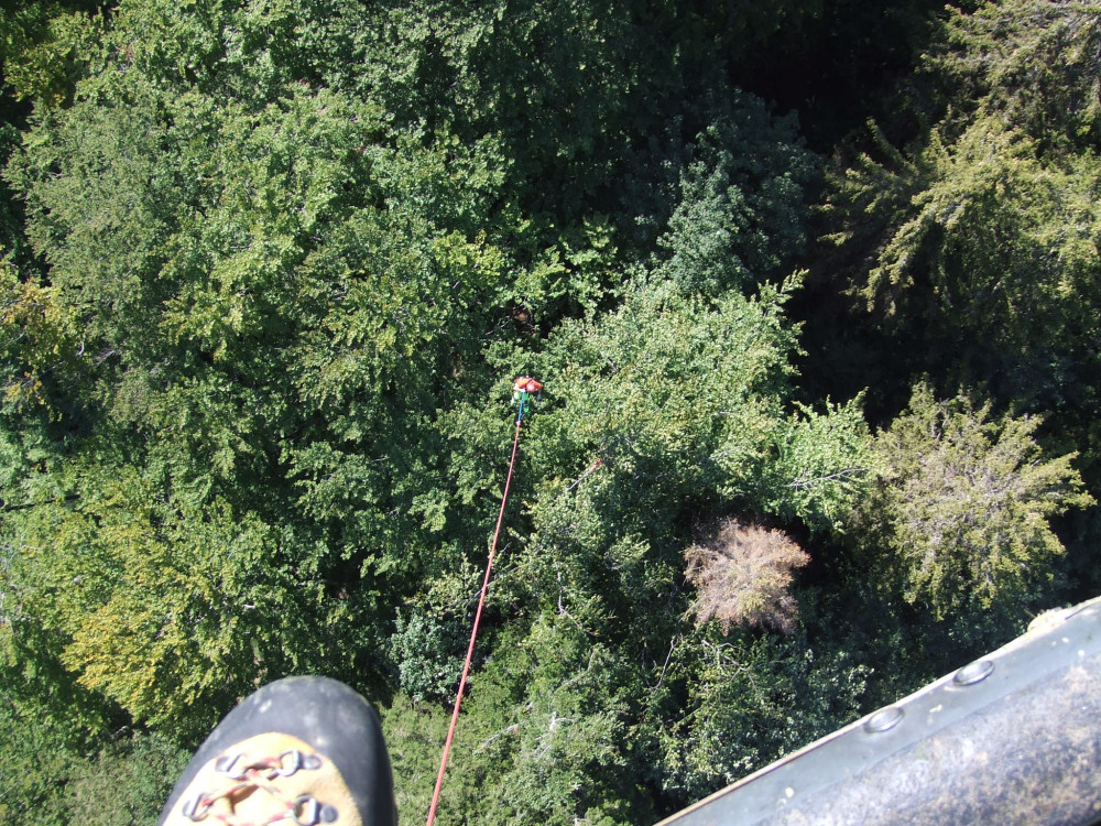 Walddauerbeobachtung: Gipfeltriebernte per Helikopter (1/1)